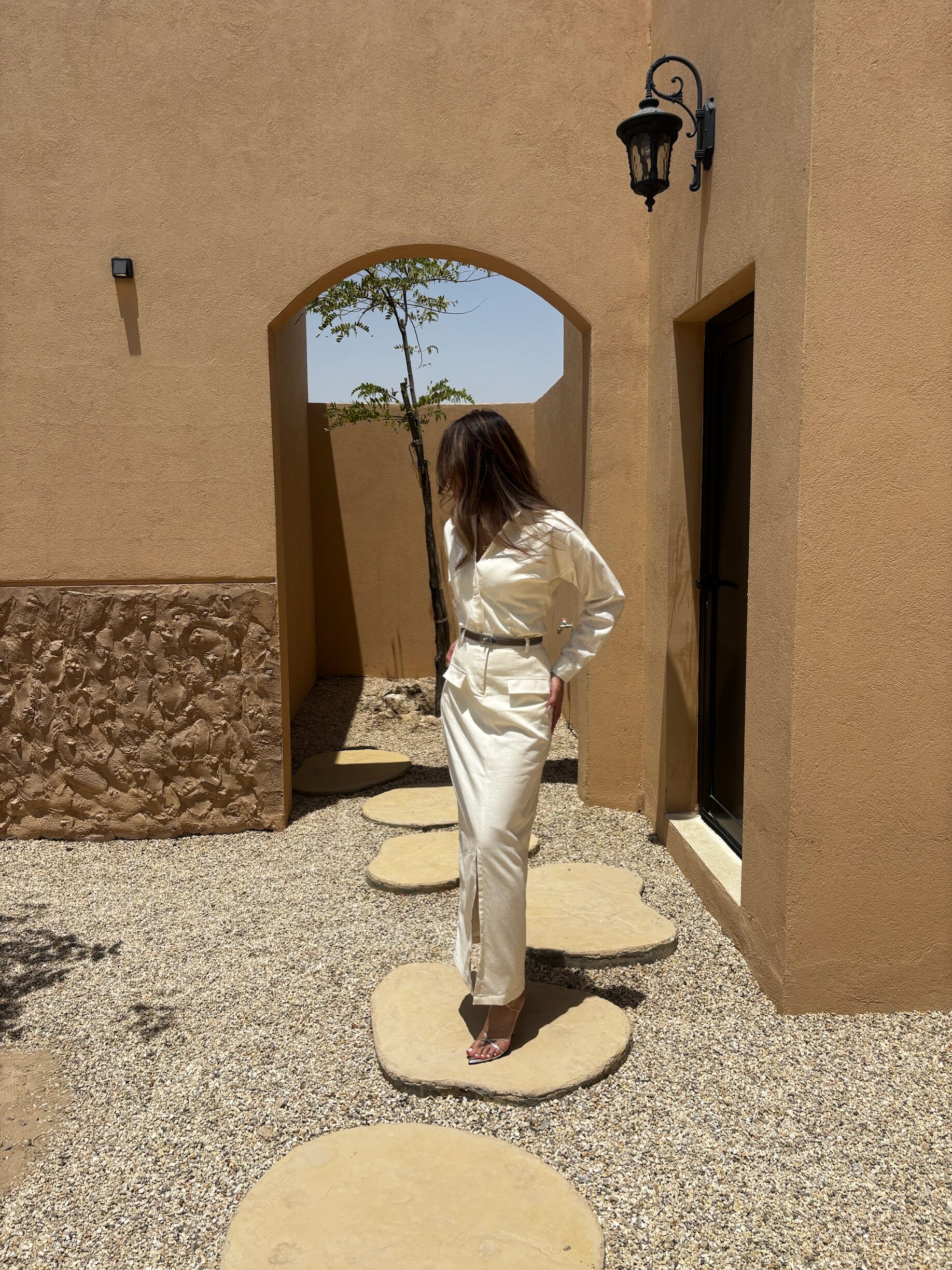 tulip - الصورة 2