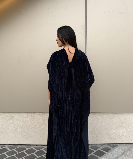 Alternative view of Zeya